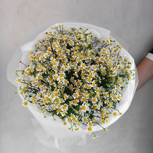 Букет с ромашкой матрикарией (L)🌿