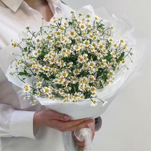 Букет полевых ромашек