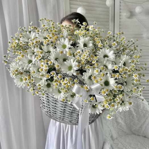 Летний сад - большая корзина ромашек T11