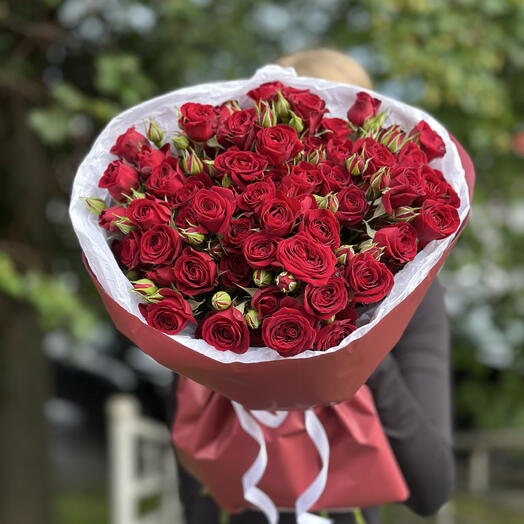 Бордовые кустовые розы 🌹