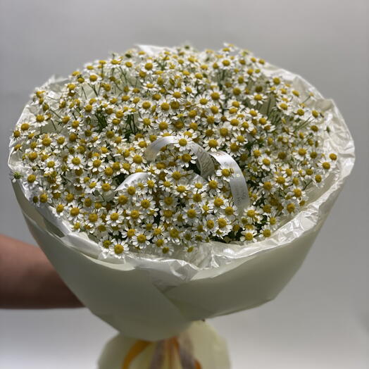 Нежный букет из кустовых ромашек