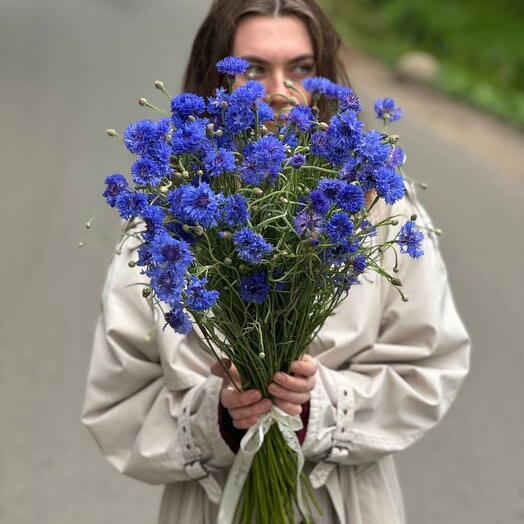 Васильки