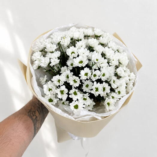 🌼 Белоснежная Нежность