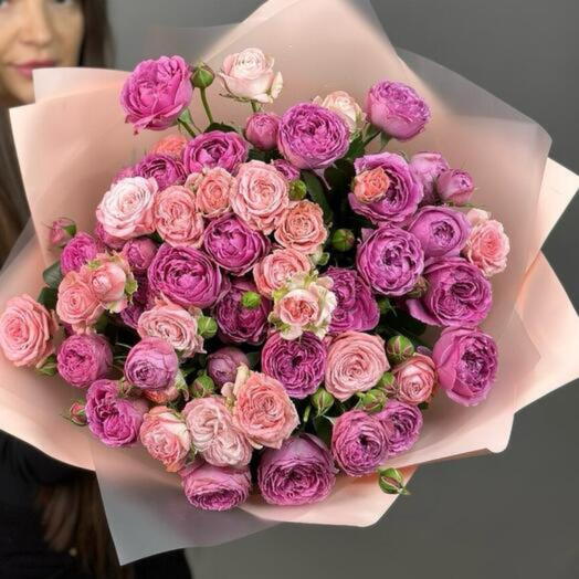 Blush Harmony