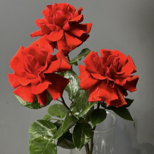 Французская Роза 💐