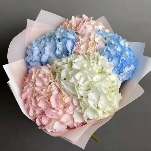 Mezcla de hortensias 5