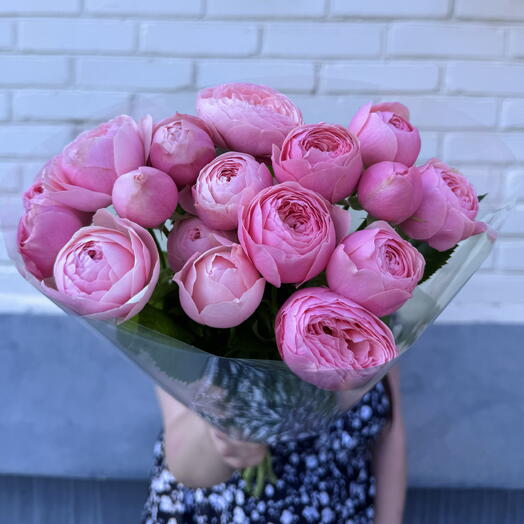 Пачка 5 шт кустовая премиальная пионовидная роза Silva Pink 🩷