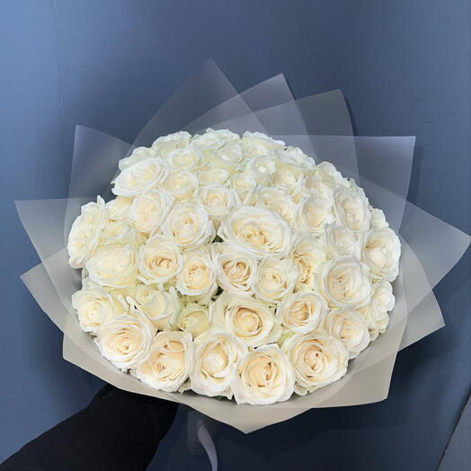 🌹49 БЕЛАЯ РОЗА СОРТА АВАЛАНЖ🌹