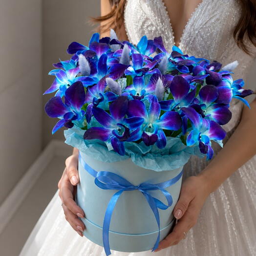Орхидея в коробке . 💙Звездочка 💙