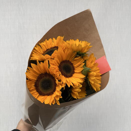 Подсолнух 🌻