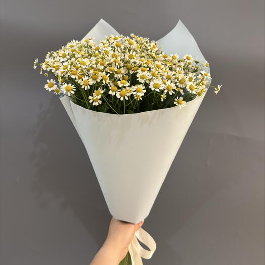 Ромашки из 15 шт