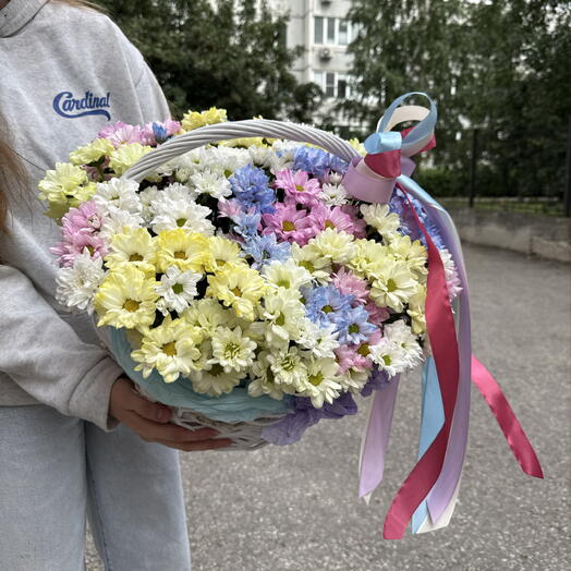 Корзина из 13 кустовых хризантем