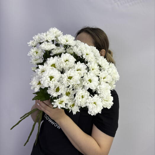 Акция! 5 белых ромашек