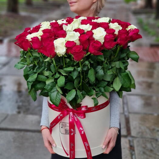 Box 101 roses red and white