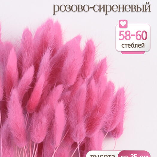 Лагурус розово-сиреневый 60 шт. Высший сорт. Высота 25-35 см М247