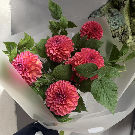 DAHLIA AND RASPBERRY