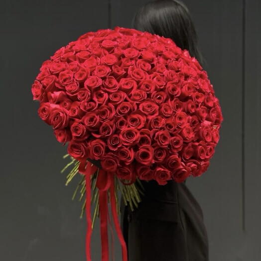 151 Роза 🌹