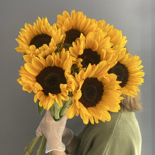 Монобукет солнечный 🌻 яркие подсолнухи 🌻🌻🌻 7 шт