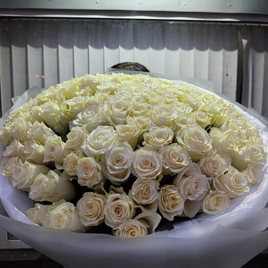 101 белая роза 🌹