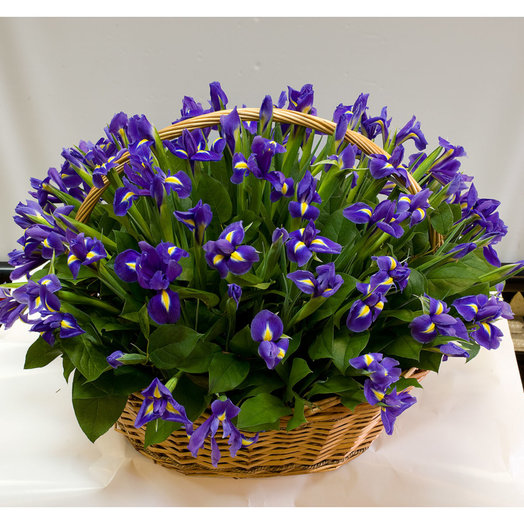 Canasta de iris Viento de cambio
