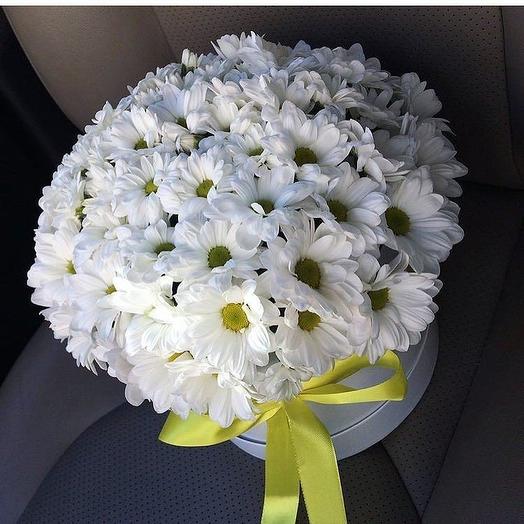 Chamomile (box with chrysanthemums)