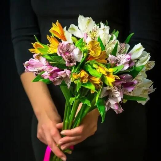 Alstroemeria