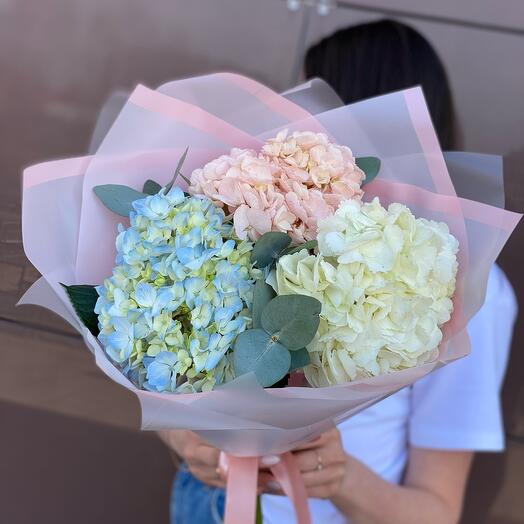 Гортензия💙