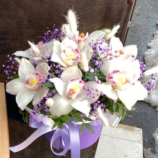 Flowers in the box " Tenderness of the orchid»