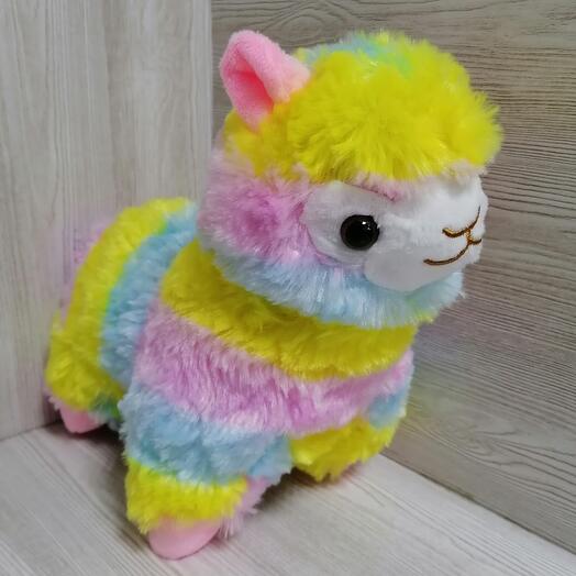 Радужная Лама 1