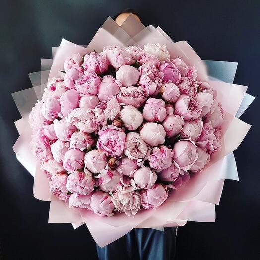49 terry peonies