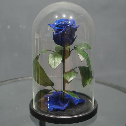 Купить Розу В Колбе В Великом Новгороде