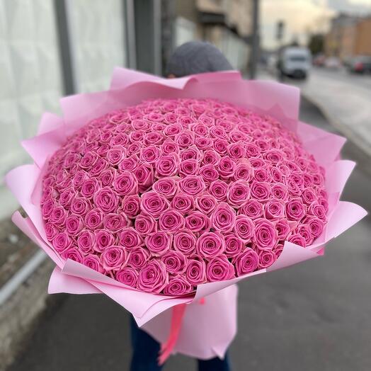 Rose 251pcs