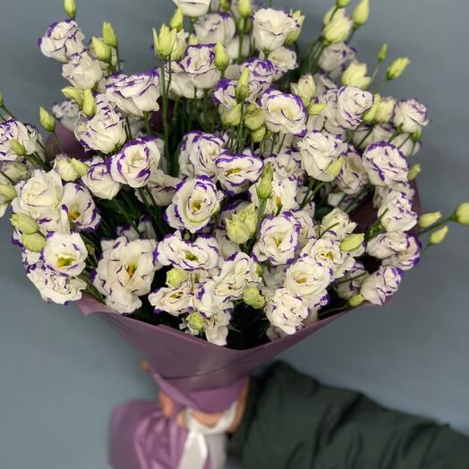 Eustoma 25