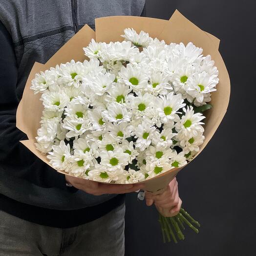 Bouquet of 15 chamomile chrysanthemums