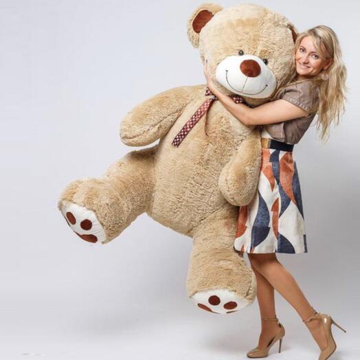 Plush Toy Soft Bear Thomas 190cm Coffee