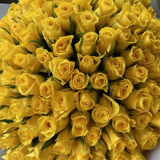 201 Yellow Roses