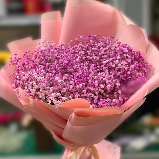 Pink Gypsophila
