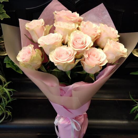 Rosa Frutteta