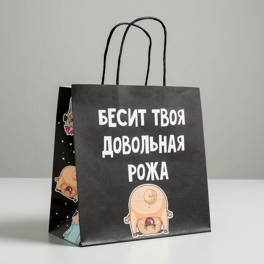Подарочный пакет Бесит (22 х 22 х 11 см)