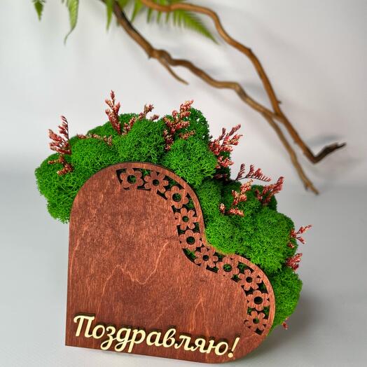 Композиция Поздравляю! - кашпо, стабилизированный мох, сухоцветы