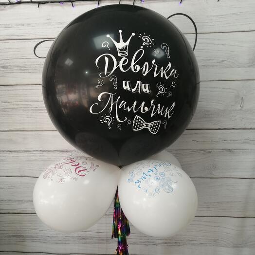 Gender party