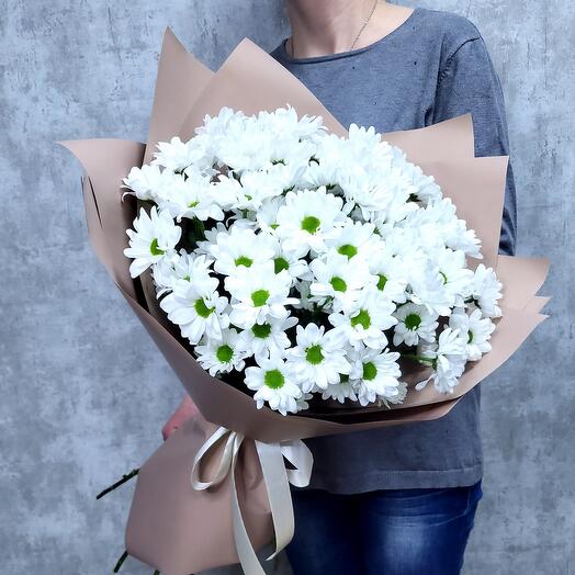 Хризантема ромашка