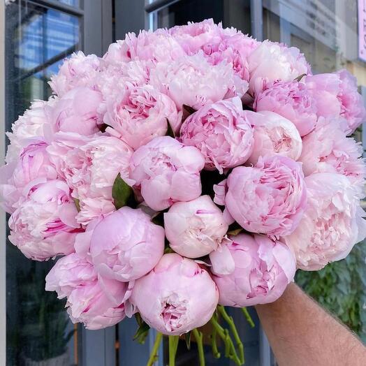 Large peonies