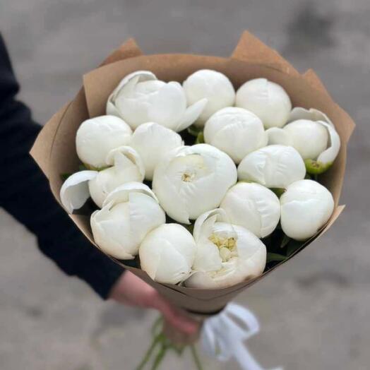 Белые пионы 15шт