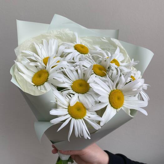 Bouquet of daisies