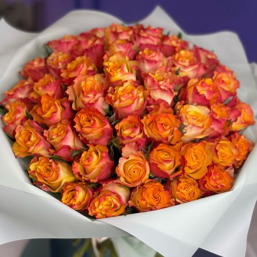 51 rosa