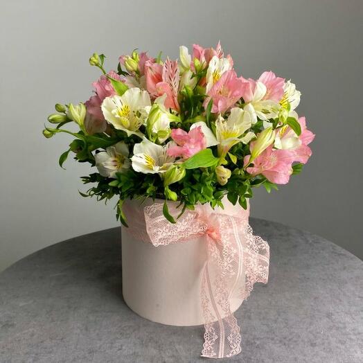 The "doll" of alstroemeria