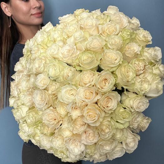 101 roses white roses Ecuador