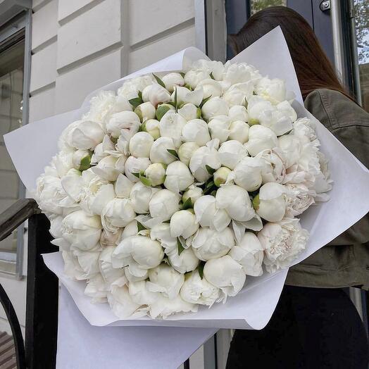 101 пион