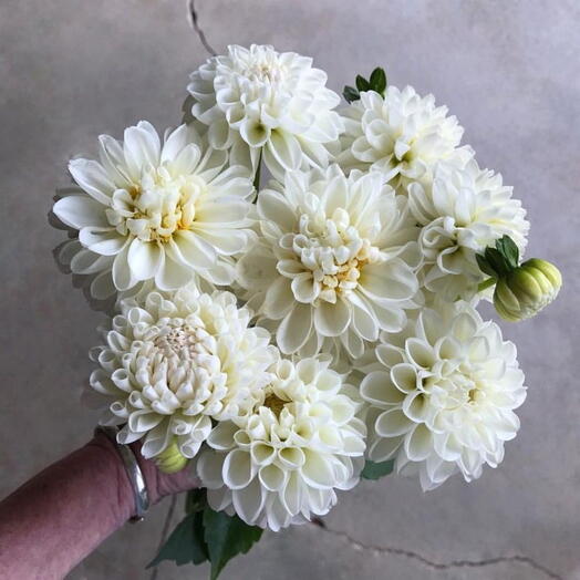 White dalhia bouquet 10 flowers